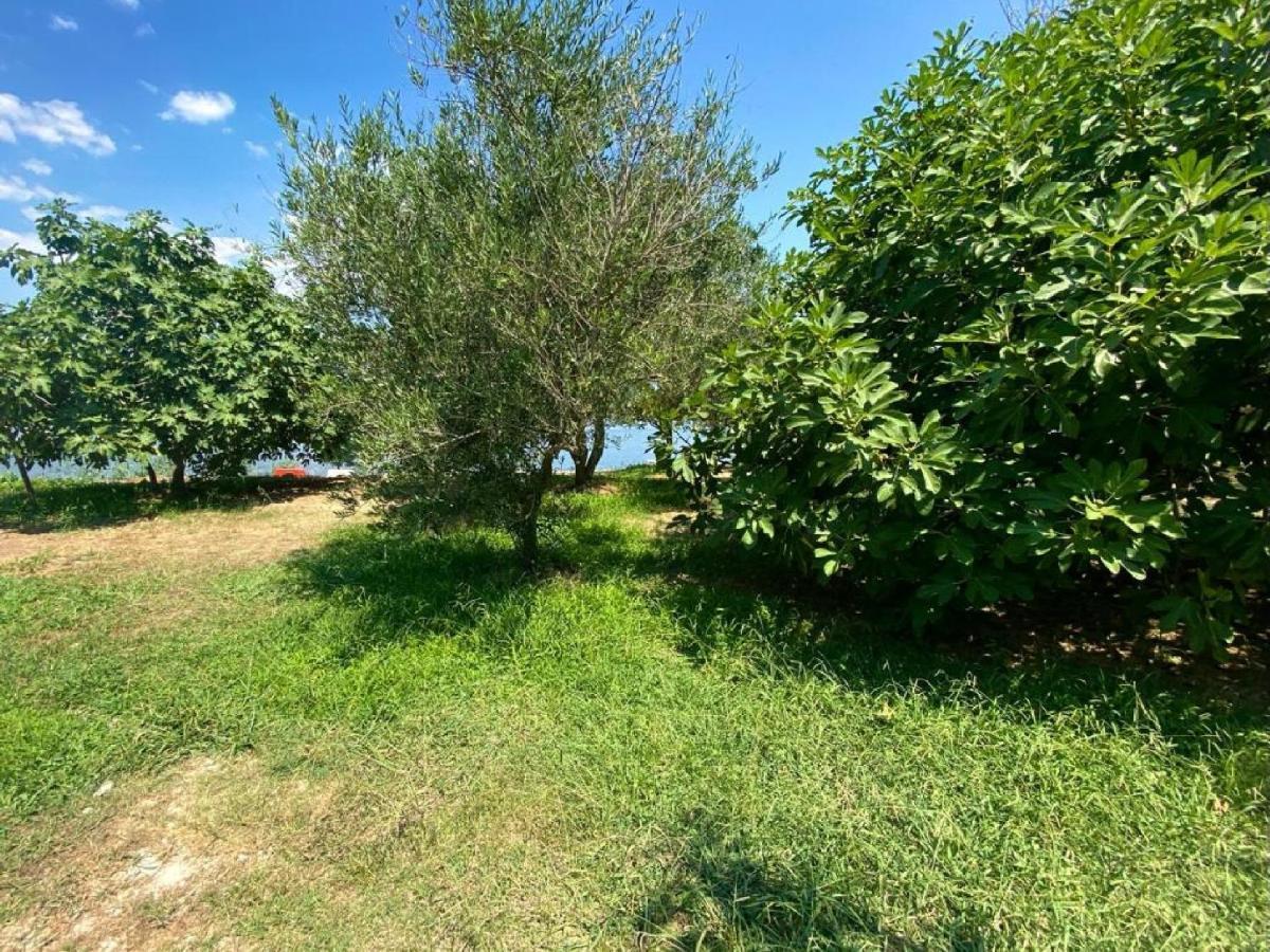 Riverside Apartments Chiara Ούλτσιν Εξωτερικό φωτογραφία